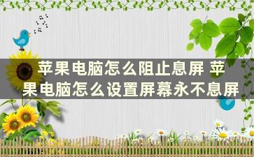 苹果电脑怎么阻止息屏 苹果电脑怎么设置屏幕永不息屏